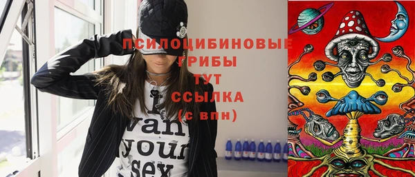 мдпв Армянск