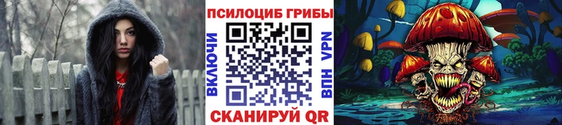 darknet наркотические препараты  Георгиевск  Псилоцибиновые грибы мицелий 