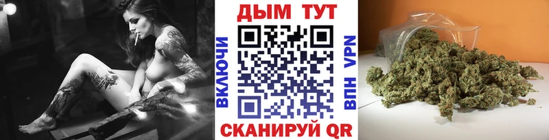 Канабис гибрид  Георгиевск 